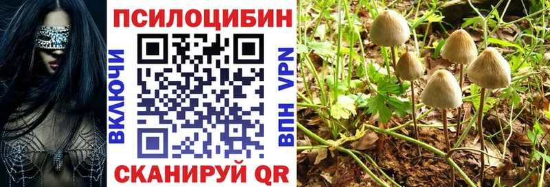 Псилоцибиновые грибы мухоморы Элиста