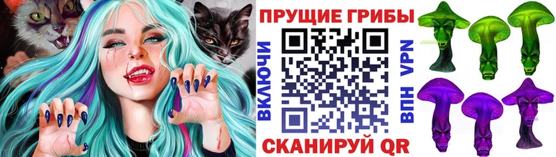Галлюциногенные грибы Psilocybine cubensis  магазин    mega маркетплейс  Элиста 