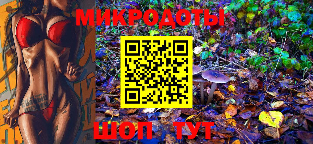 продажа наркотиков  Вход с VPN  Элиста  Псилоцибиновые грибы прущие грибы 