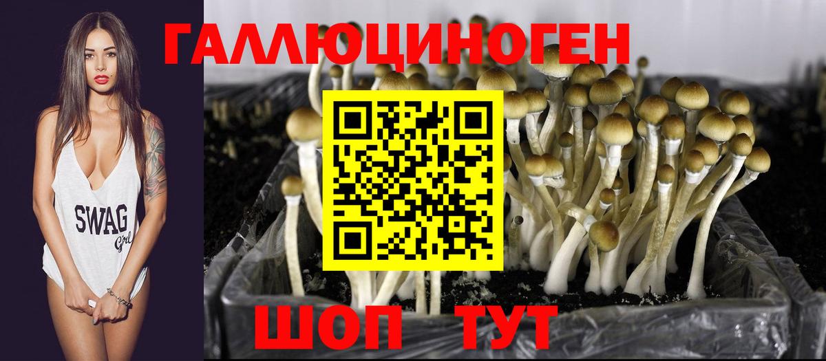 Галлюциногенные грибы MAGIC MUSHROOMS Элиста