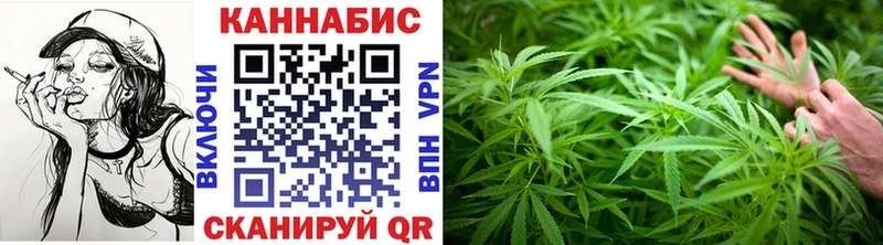 Бошки Шишки гибрид  даркнет сайт  Элиста 